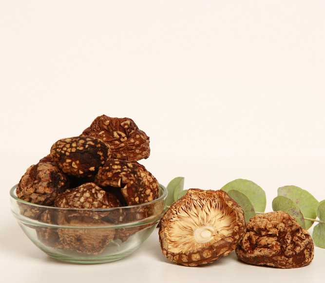 Amanita regalis — 50g