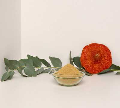 Amanita muscaria powder